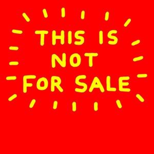 Trade Pending Muted Burgundy Floral Mesh Dress